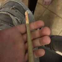High Vibes